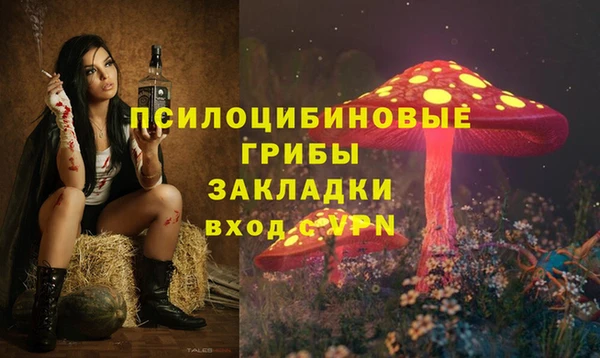 Альфа ПВП Бородино