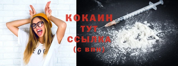 тгк Бронницы