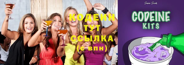 Альфа ПВП Бородино